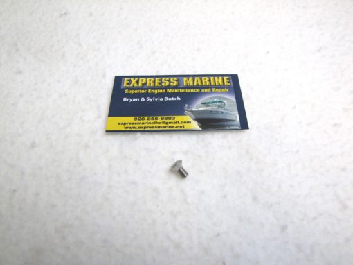 OMC Johnson Evinrude Screw 318238 0318238