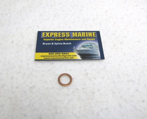 OMC Johnson Evinrude Washer Gasket 5031863