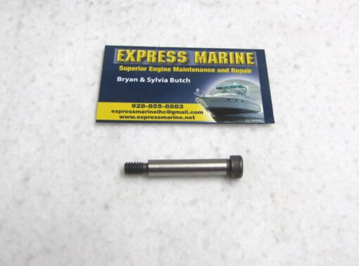 OMC Johnson Evinrude Screw 307641 0307641
