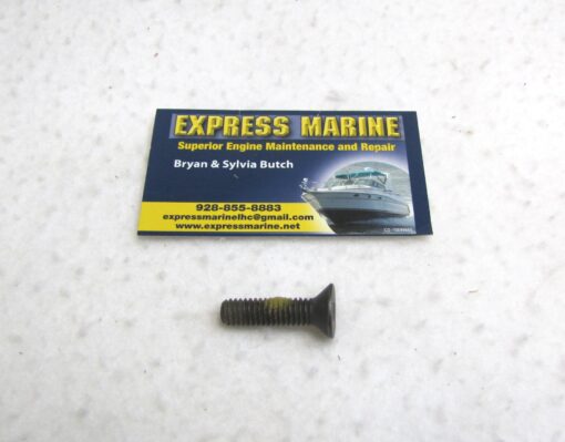 OMC Johnson Evinrude Lever Screw 318293 0318293