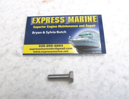 OMC Johnson Evinrude Gear Case Mounting Screw 319545 0319545