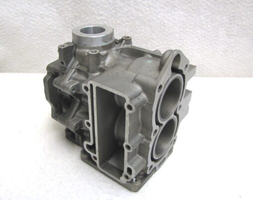 OMC Johnson Evinrude Cylinder and Crankcase Assembly 395884 0395884