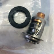 OMC Johnson Evinrude Thermostat and Seal 5005440