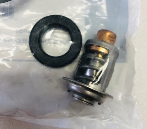 OMC Johnson Evinrude Thermostat and Seal 5005440